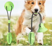 Load image into Gallery viewer, dog teeth cleaning chew toy