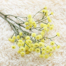 Load image into Gallery viewer, Artificial  Flowers  False Baby&#39;s Breath Decoration