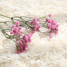 Load image into Gallery viewer, Artificial  Flowers  False Baby&#39;s Breath Decoration