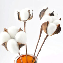 Load image into Gallery viewer, Natural Cotton Artificial Flower Branch