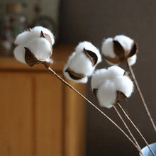 Load image into Gallery viewer, Natural Cotton Artificial Flower Branch